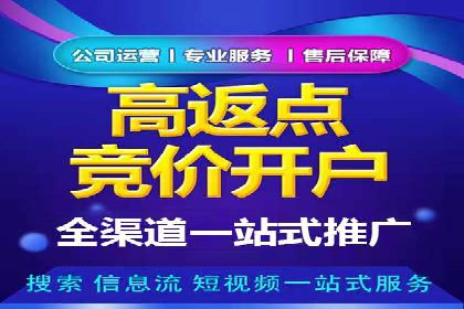 竞价广告投放策略，代运营公司的成功实践